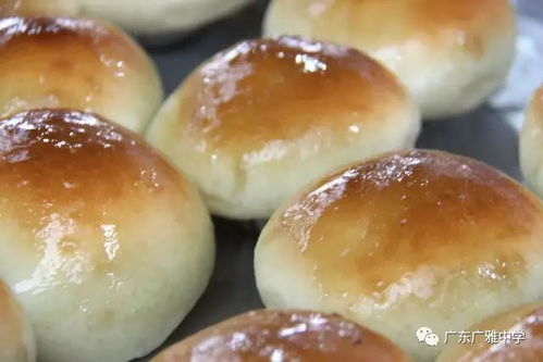 廣雅食堂榮獲食品安全A級認定并開展豐富歌舞活動，打造安全與活力校園環境